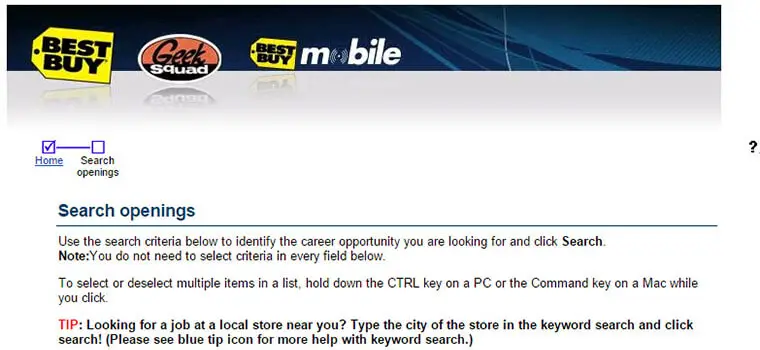 best buy job application