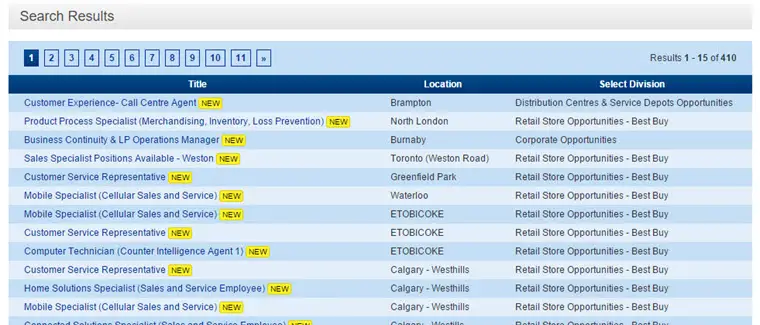 Best Buy Application  2024 Careers, Job Requirements & Interview Tips