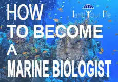 how to become a marine biologist
