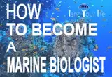 how to become a marine biologist