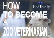 how to become a zoo veterinarian