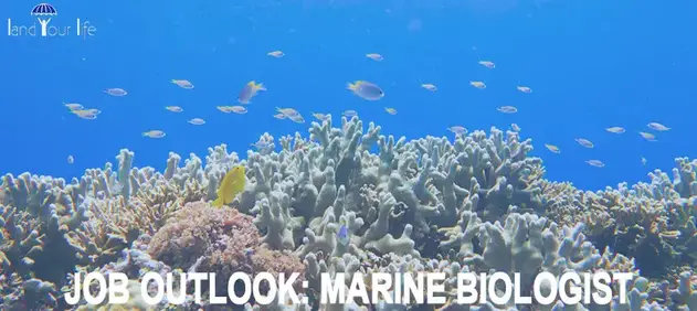 marine biologist careers