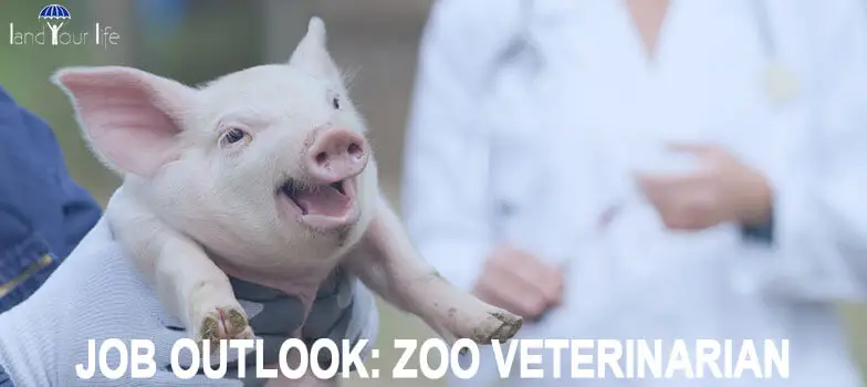zoo veterinarian careers