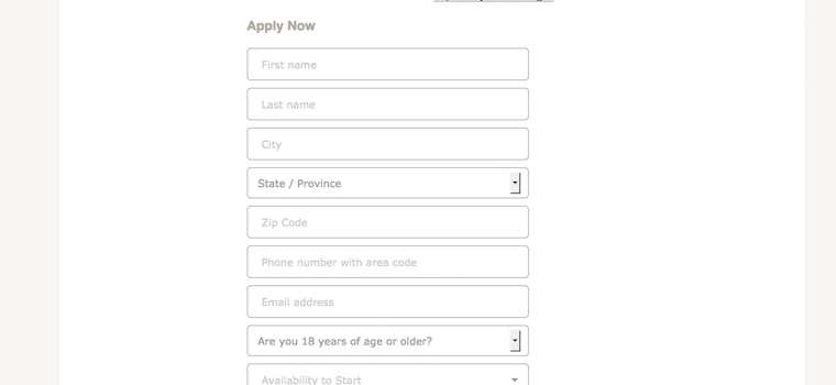 AC Moore job application