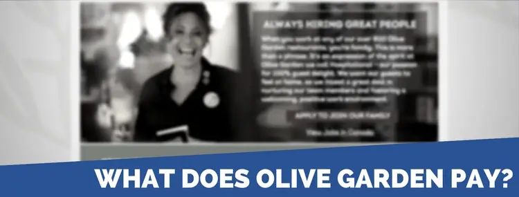 Olive Garden Application 2020 Careers Job Requirements Interview