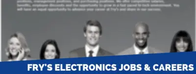 Frys electronics job description