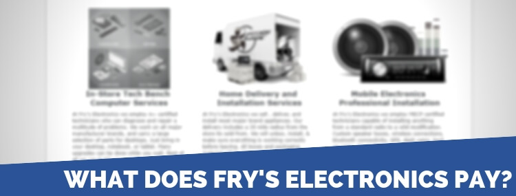 Frys electronics job description