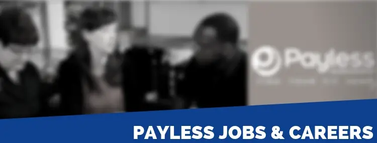 Payless Application | 2020 Job 