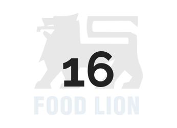 food lion employment handbook requirements food lion employment handbook requirements