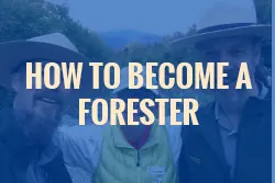 How to become a forester