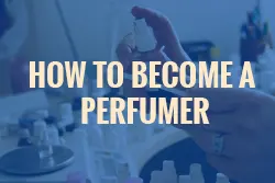 How to become a perfumer