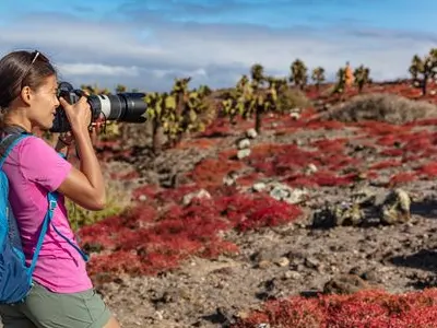 How to become a wildlife photographer.